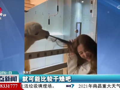 心疼又好笑 她因头发太干误被羊驼当草啃