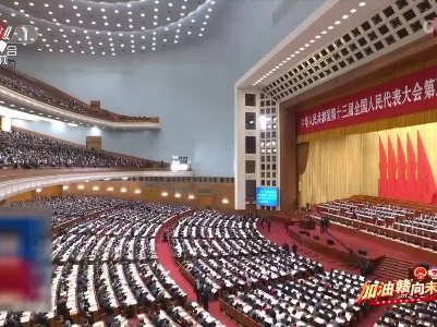 【加油“赣” 向未来·直通两会】十三届全国人大五次会议举行第二次全体会议