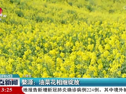 婺源：油菜花相继绽放