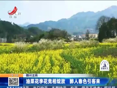 赣州龙南：油菜花李花竞相绽放 醉人春色引客来