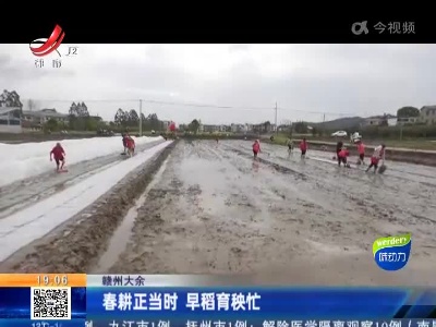 赣州大余：春耕正当时 早稻育秧忙
