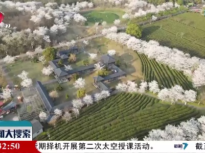 新闻大搜索20220316