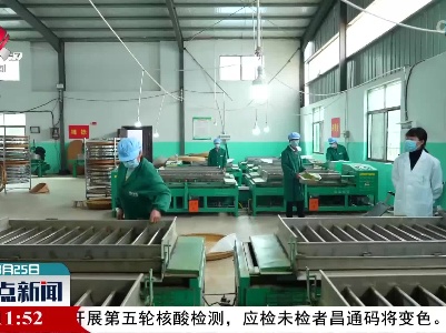 乐平市白茶全面进入采摘期