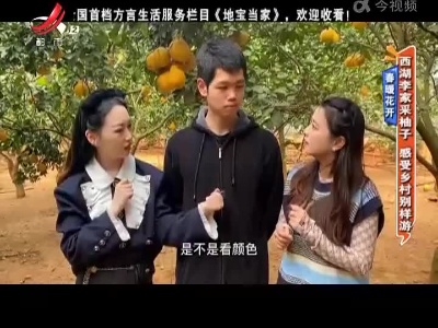 地宝当家20220315