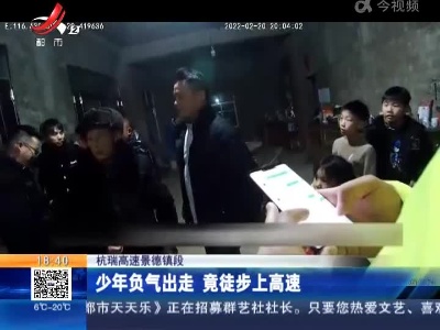 杭瑞高速景德镇段：少年负气出走 竟徒步上高速