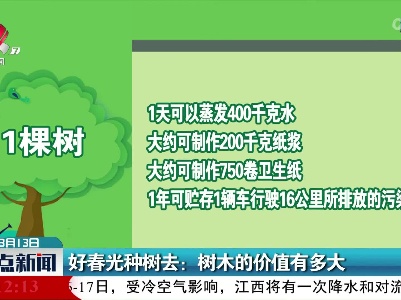 好春光种树去：树木的价值有多大