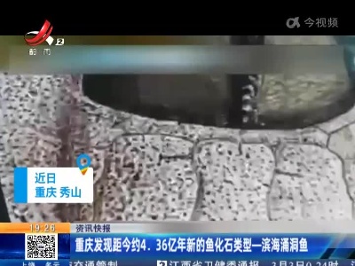 重庆发现距今约4.36亿年新的鱼化石类型—滨海涌洞鱼