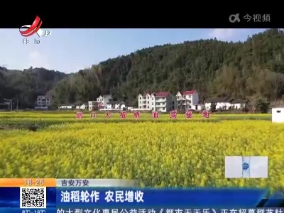 吉安万安：油稻轮作 农民增收