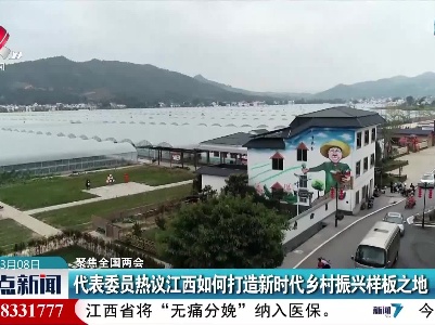 【聚焦全国两会】代表委员热议江西如何打造新时代乡村振兴样板之地