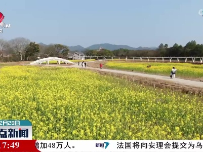 会昌：油菜花开醉游人