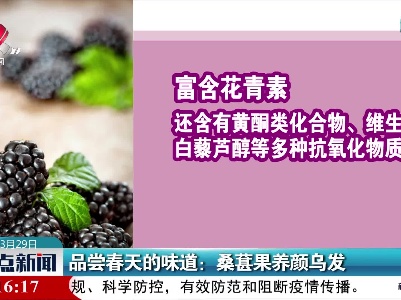 品尝春天的味道：桑葚果养颜乌发