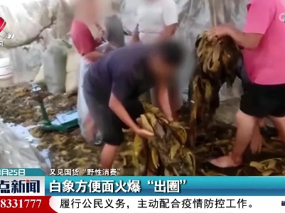 【又见国货“野性消费”】白象方便面火爆“出圈”