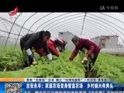 【聚焦“放管服”改革 曝光“怕慢假庸散”·作示范 勇争先】吉安永丰：家庭农场变身智富农场 乡村振兴有奔头