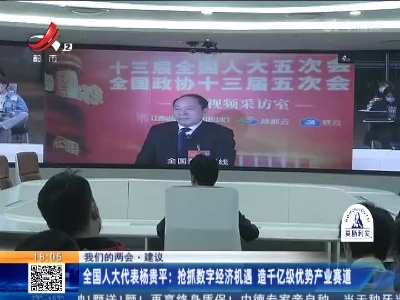 【我们的两会·建议】全国人大代表杨贵平：抢抓数字经济机遇 造千亿级优势产业赛道