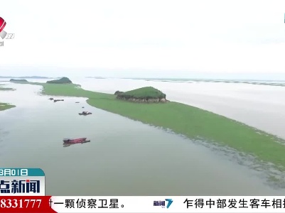 鄱阳湖水草丰美 湿地生态美如画