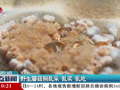野生蘑菇别乱采 乱买 乱吃