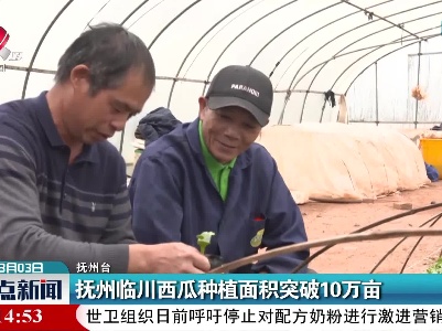 抚州临川西瓜种植面积突破10万亩