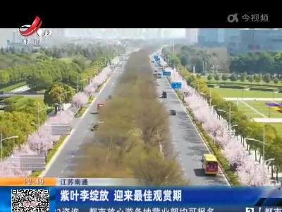 都市现场·午间版20220318