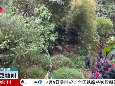 【东航客机坠毁事故】藤县空难现场雨后出现塌方 后续工作正有序开展