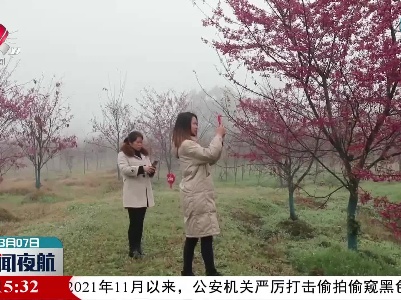 江西开启晴朗升温模式