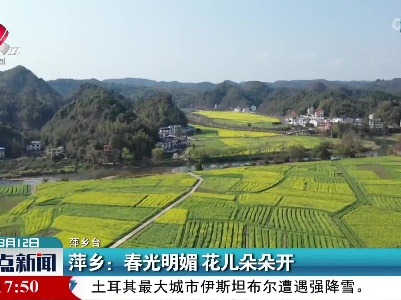 萍乡：春光明媚 花儿朵朵开