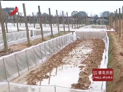 三农要闻20220310