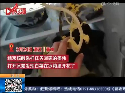 【新闻热搜】浙江衢州：医生抗疫回家发现冰箱白菜开花了