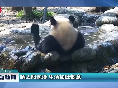 晒太阳泡澡 生活如此惬意