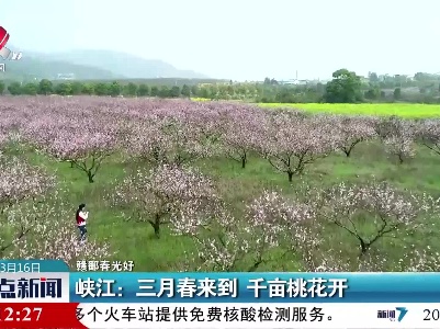 整点新闻20220316 14:00