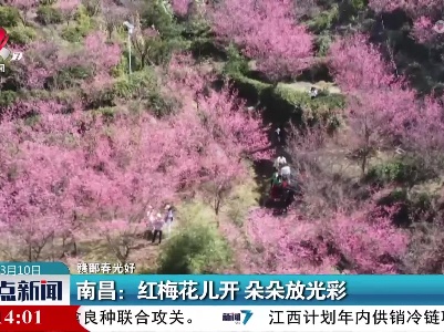 整点新闻20220310 14:00