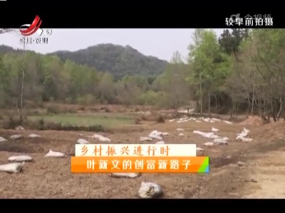 稻花香里20220404 乡村振兴进行时——叶新文的创富新路子
