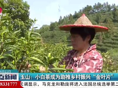 玉山：小白茶成为助推乡村振兴“金叶片”
