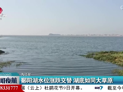 鄱阳湖水位涨跌交替 湖底如同大草原