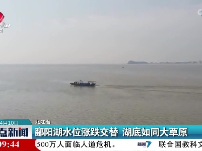 鄱阳湖水位涨跌交替 湖底如同大草原