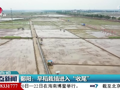 整点新闻20220419 10:00