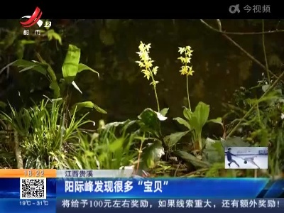 江西贵溪：阳际峰发现很多“宝贝”
