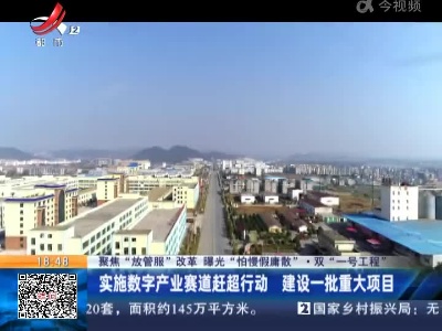 【聚焦“放管服”改革 曝光“怕慢假庸散”·双“一号工程”】实施数字产业赛道赶超行动 建设一批重大项目