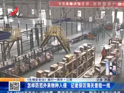 【《生物安全法》施行一周年】江西：怎样防范外来物种入侵 记者探访海关查验一线