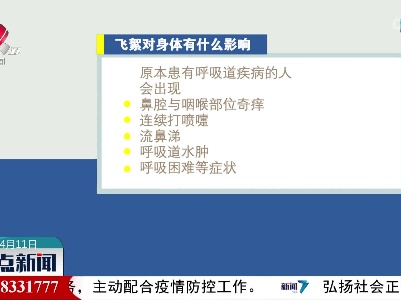 又到一年飞絮期：飞絮对身体有什么影响