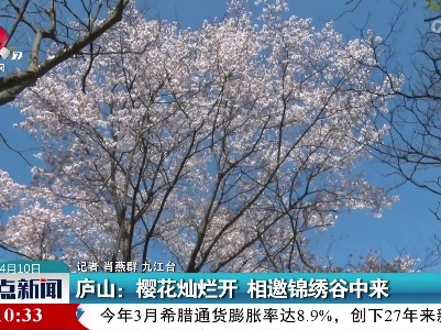 庐山：樱花灿烂开 相邀锦绣谷中来