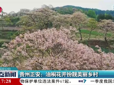 贵州正安：油桐花开扮靓美丽乡村