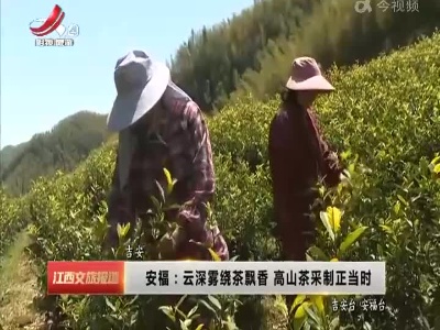 江西文旅报道20220419