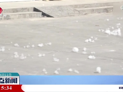 又到一年飞絮期：南北方都有“飞絮季”