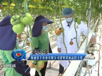 社会传真20220429 能人返乡后的新期待