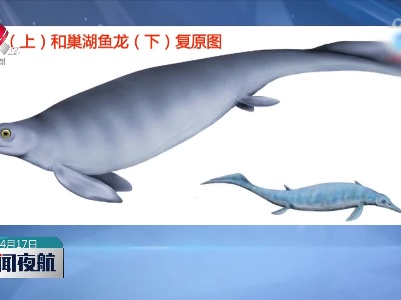 中国科研团队发现约2.5亿年前新属种鱼龙化石