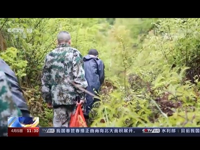 【家国清明·缅怀英烈 砥砺前行 】江西赣州 ：烈士墓集中迁葬 告慰英烈英灵