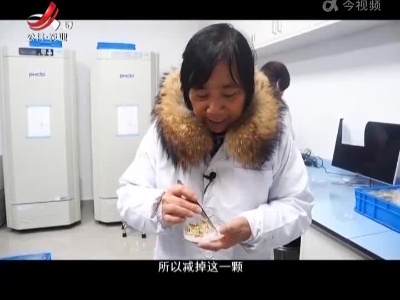 稻花香里20220401 乡村振兴进行时——种质资源库的奥秘