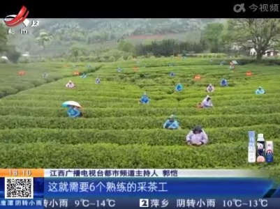 都市现场20220416