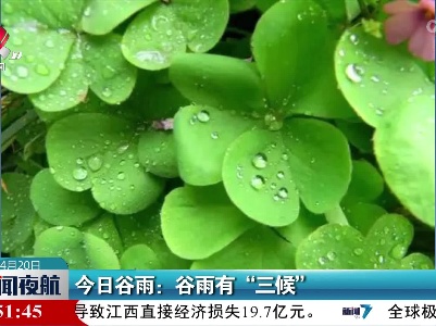 今日谷雨：谷雨有“三候”