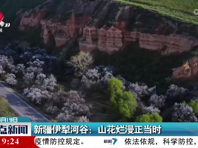 新疆伊犁河谷：山花烂漫正当时